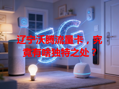 辽宁沃腾流量卡，究竟有啥独特之处？