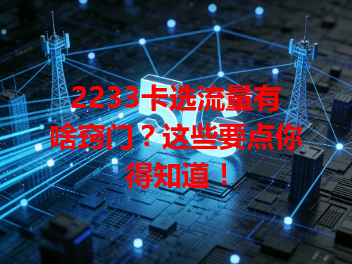 2233卡选流量有啥窍门？这些要点你得知道！