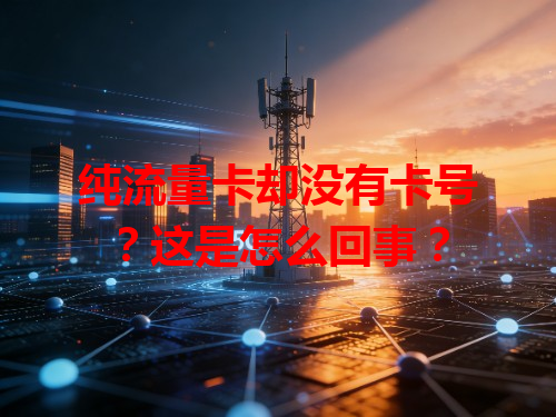 纯流量卡却没有卡号？这是怎么回事？