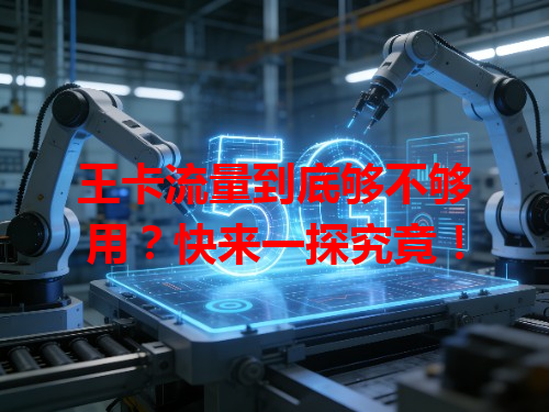 王卡流量到底够不够用？快来一探究竟！