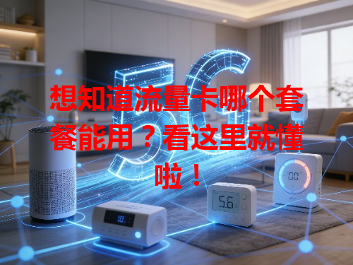 想知道流量卡哪个套餐能用？看这里就懂啦！