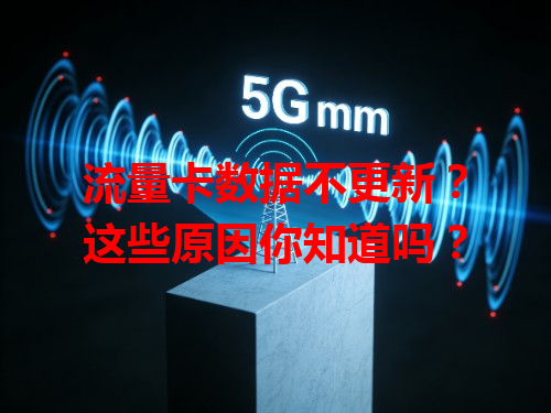 流量卡数据不更新？这些原因你知道吗？