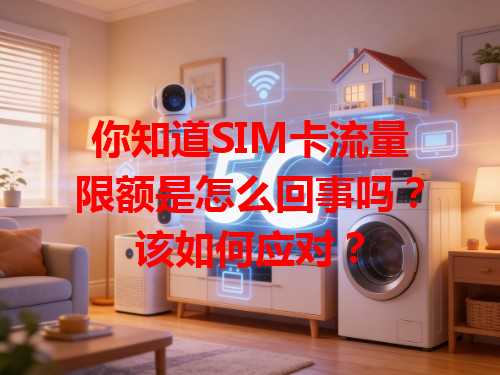 你知道SIM卡流量限额是怎么回事吗？该如何应对？