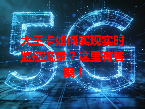 大王卡如何实现实时监控流量？这里有答案！