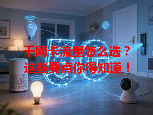 千网卡流量怎么选？这些要点你得知道！