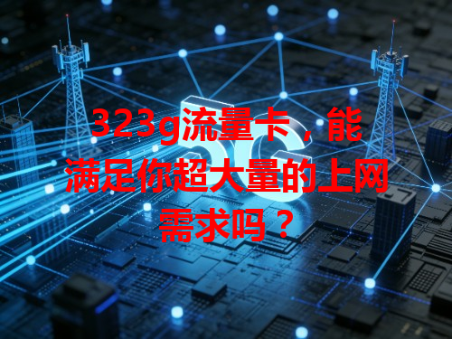 323g流量卡，能满足你超大量的上网需求吗？