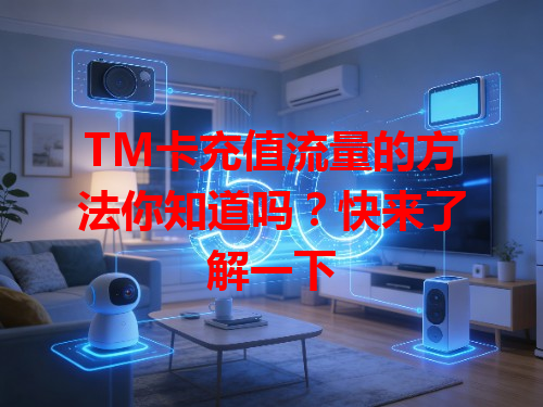 TM卡充值流量的方法你知道吗?快来了解一下