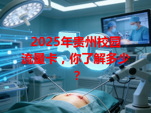 2025年贵州校园流量卡，你了解多少？