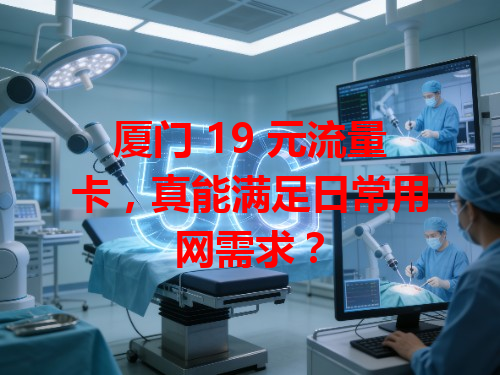厦门 19 元流量卡，真能满足日常用网需求？