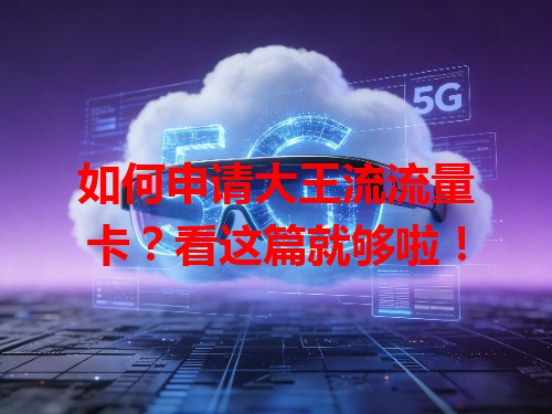如何申请大王流流量卡？看这篇就够啦！