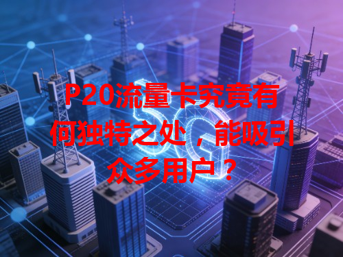 P20流量卡究竟有何独特之处，能吸引众多用户？