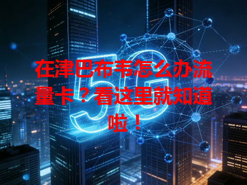 在津巴布韦怎么办流量卡？看这里就知道啦！