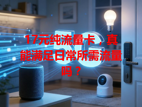 17元纯流量卡，真能满足日常所需流量吗？