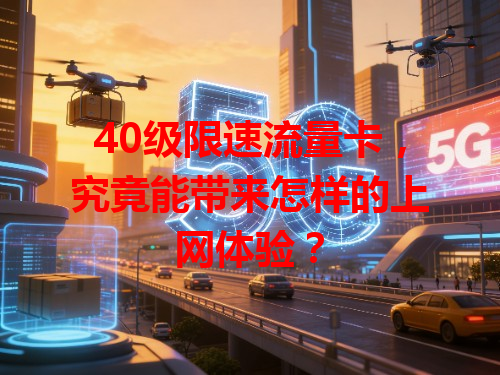 40级限速流量卡，究竟能带来怎样的上网体验？