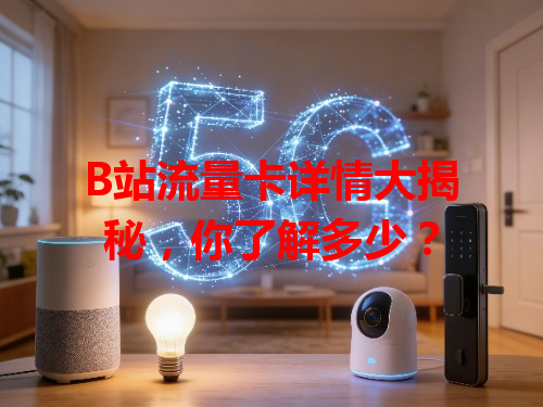 B站流量卡详情大揭秘，你了解多少？