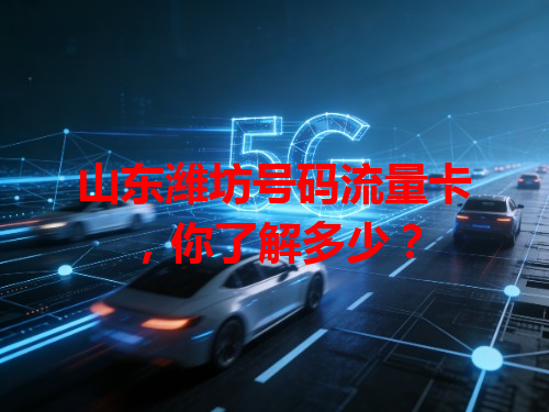 山东潍坊号码流量卡，你了解多少？