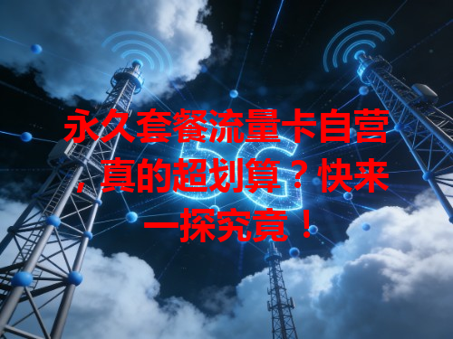 永久套餐流量卡自营，真的超划算？快来一探究竟！