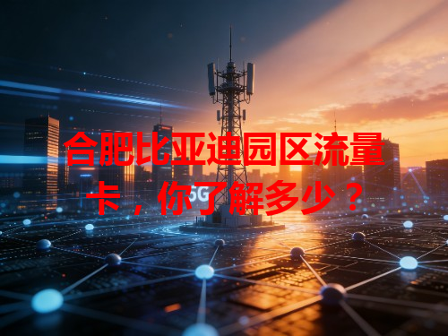合肥比亚迪园区流量卡，你了解多少？