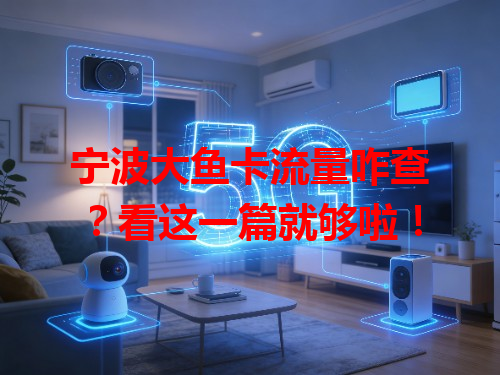 宁波大鱼卡流量咋查？看这一篇就够啦！