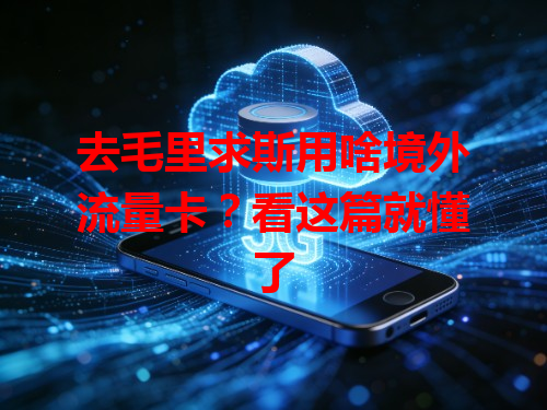 去毛里求斯用啥境外流量卡？看这篇就懂了