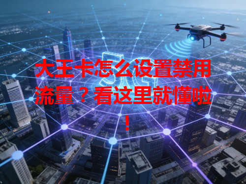 大王卡怎么设置禁用流量？看这里就懂啦！