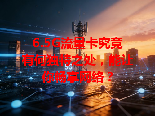 6.5G流量卡究竟有何独特之处，能让你畅享网络？