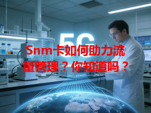 Snm卡如何助力流量管理？你知道吗？