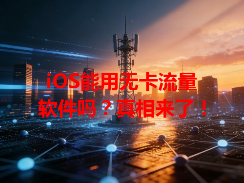 iOS能用无卡流量软件吗？真相来了！