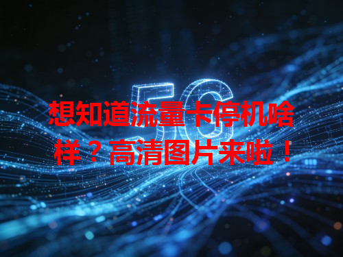 想知道流量卡停机啥样？高清图片来啦！