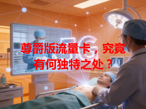 尊爵版流量卡，究竟有何独特之处？