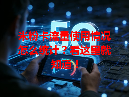 米粉卡流量使用情况怎么统计？看这里就知道！