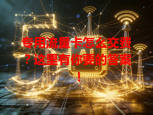 专用流量卡怎么交费？这里有你要的答案！