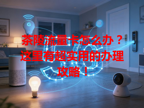 茶陵流量卡怎么办？这里有超实用的办理攻略！