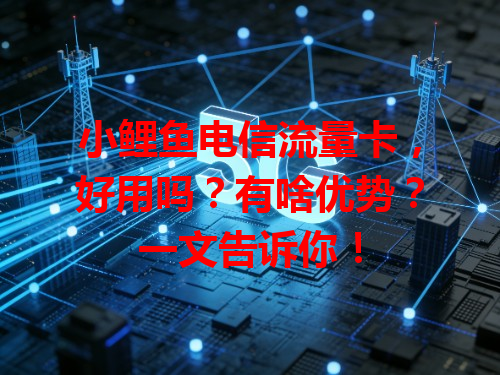 小鲤鱼电信流量卡，好用吗？有啥优势？一文告诉你！