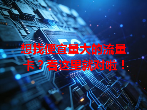 想找便宜量大的流量卡？看这里就对啦！