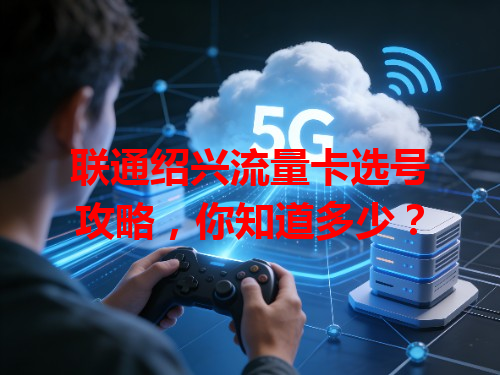 联通绍兴流量卡选号攻略，你知道多少？