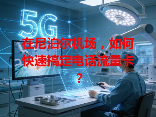 在尼泊尔机场，如何快速搞定电话流量卡？