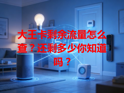 大王卡剩余流量怎么查？还剩多少你知道吗？