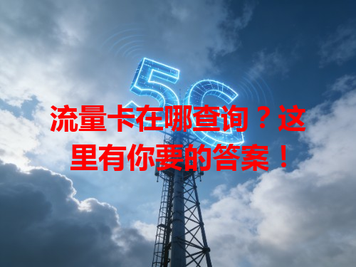 流量卡在哪查询？这里有你要的答案！