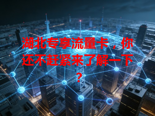 湖北专享流量卡，你还不赶紧来了解一下？