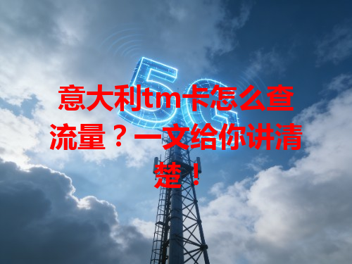 意大利tm卡怎么查流量？一文给你讲清楚！