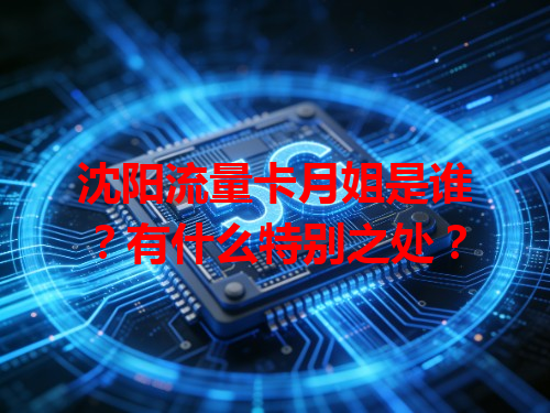 沈阳流量卡月姐是谁？有什么特别之处？