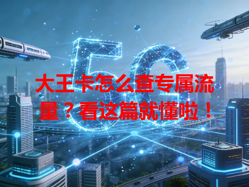 大王卡怎么查专属流量？看这篇就懂啦！