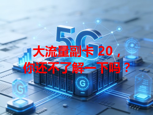 大流量副卡 20，你还不了解一下吗？