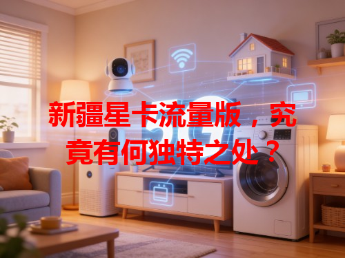 新疆星卡流量版，究竟有何独特之处？