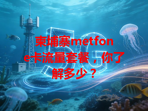 柬埔寨metfone卡流量套餐，你了解多少？
