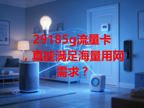 29185g流量卡，真能满足海量用网需求？