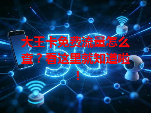 大王卡免费流量怎么查？看这里就知道啦！
