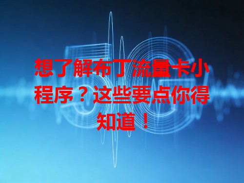 想了解布丁流量卡小程序？这些要点你得知道！
