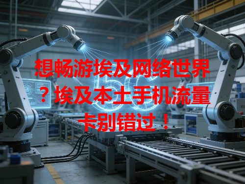 想畅游埃及网络世界？埃及本土手机流量卡别错过！